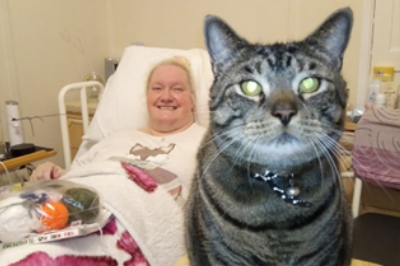 care in the community - wakefield